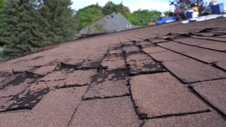 Best Chimney Flashing Repair  in Shinnecock Hills, NY